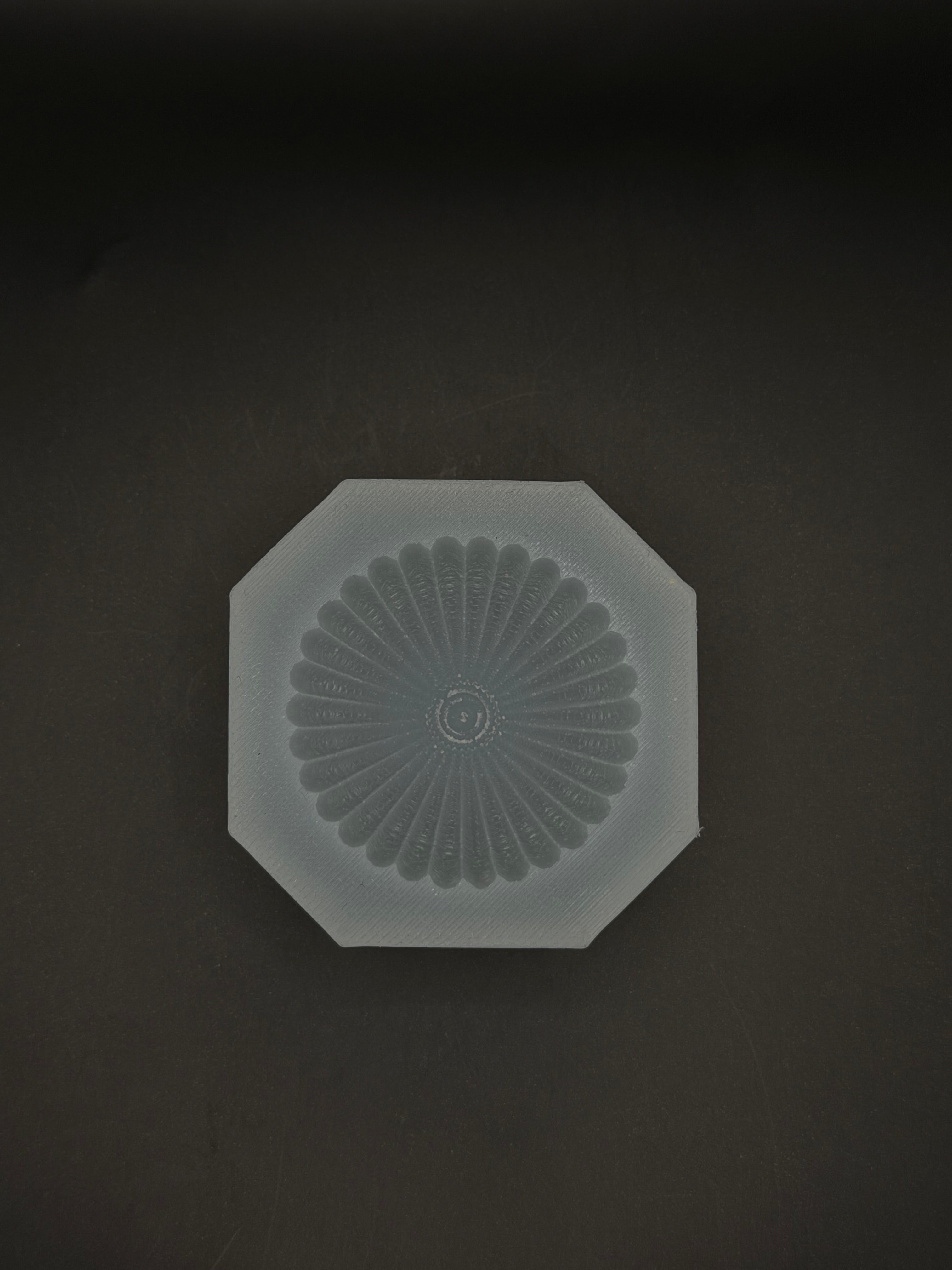 Bloom