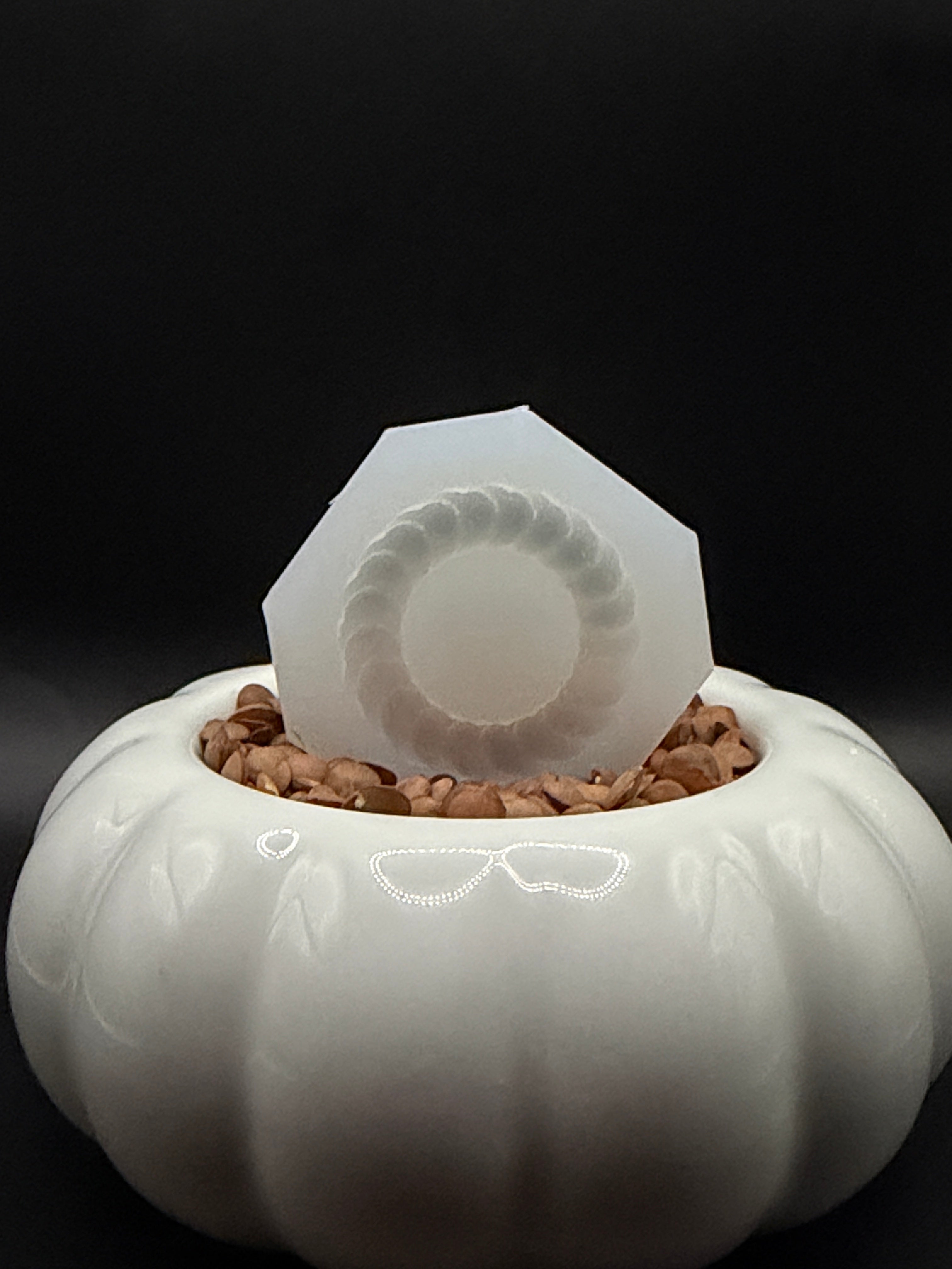 Ring 2.0
